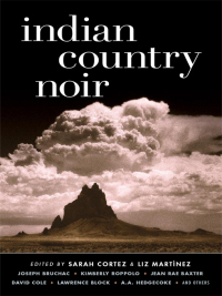 Cover image: Indian Country Noir 9781936070053