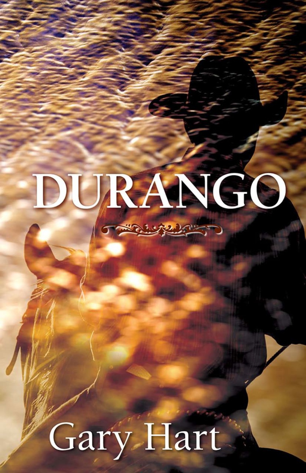 Durango A Novel 1st Edition