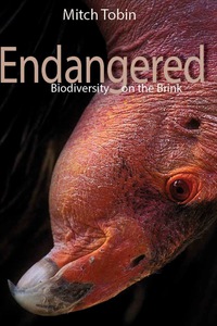 Cover image: Endangered 1st edition 9781555917210