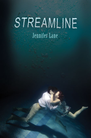 Cover image: Streamline 9781936305025