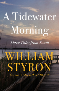 Cover image: A Tidewater Morning 9781936317257