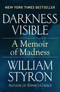 Cover image: Darkness Visible 9781936317295