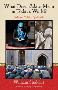Omslagafbeelding: What Does Islam Mean in Today's World? 9781936597147