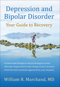 表紙画像: Depression and Bipolar Disorder 9781933503998