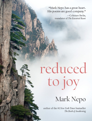 Cover image: Reduced to Joy 9781936740574