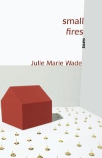 Cover image: Small Fires 9781936747023