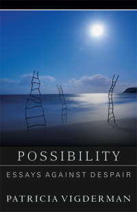 Cover image: Possibility 9781936747542