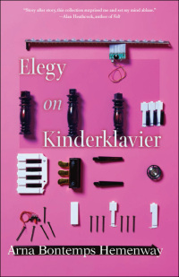 Cover image: Elegy on Kinderklavier 9781936747764