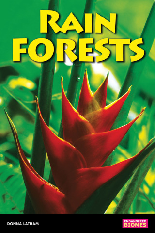 Imagen de portada: Rain Forests