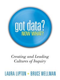 Cover image: Got Data? Now What? 1st edition 9781936765034