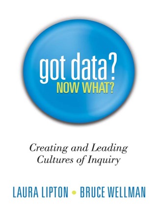Cover image: Got Data? Now What? 1st edition 9781936765034
