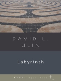 Cover image: Labyrinth 9781936846085