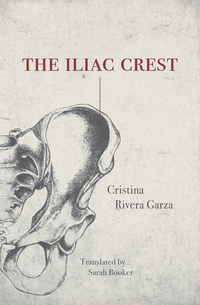 Cover image: The Iliac Crest 9781558614352