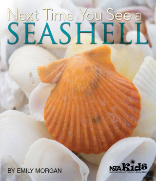 Cover image: Next Time You See a Seashell 9781936959150