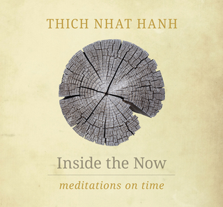 Cover image: Inside the Now 9781937006792
