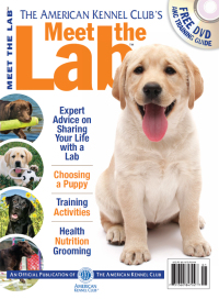 Cover image: Meet the Lab 9781935484707
