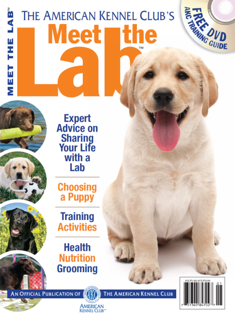 Meet the Lab - FULL INSTANT DOWNLOAD | PDF DOCX EPUB