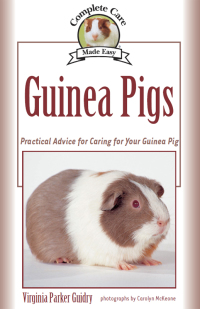 Omslagafbeelding: Guinea Pigs 9781931993326