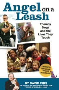 Cover image: Angel on a Leash 9781935484639