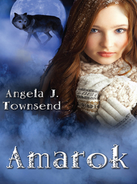 Cover image: Amarok 1st edition