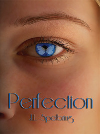 Cover image: Perfection 1st edition