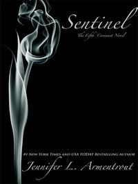 Cover image: Sentinel 1st edition