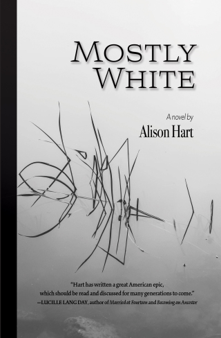 Imagen de portada: Mostly White 9781937226954