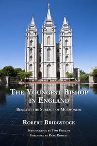 Cover image: The Youngest Bishop in England 1st edition 9781937276034