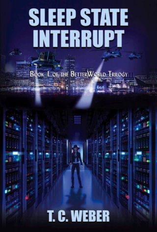 Imagen de portada: Sleep State Interrupt 1st edition 9781937276973