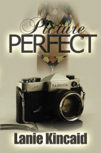 Cover image: Picture Perfect 9781937996123