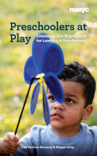 Cover image: Preschoolers at Play 9781938113765