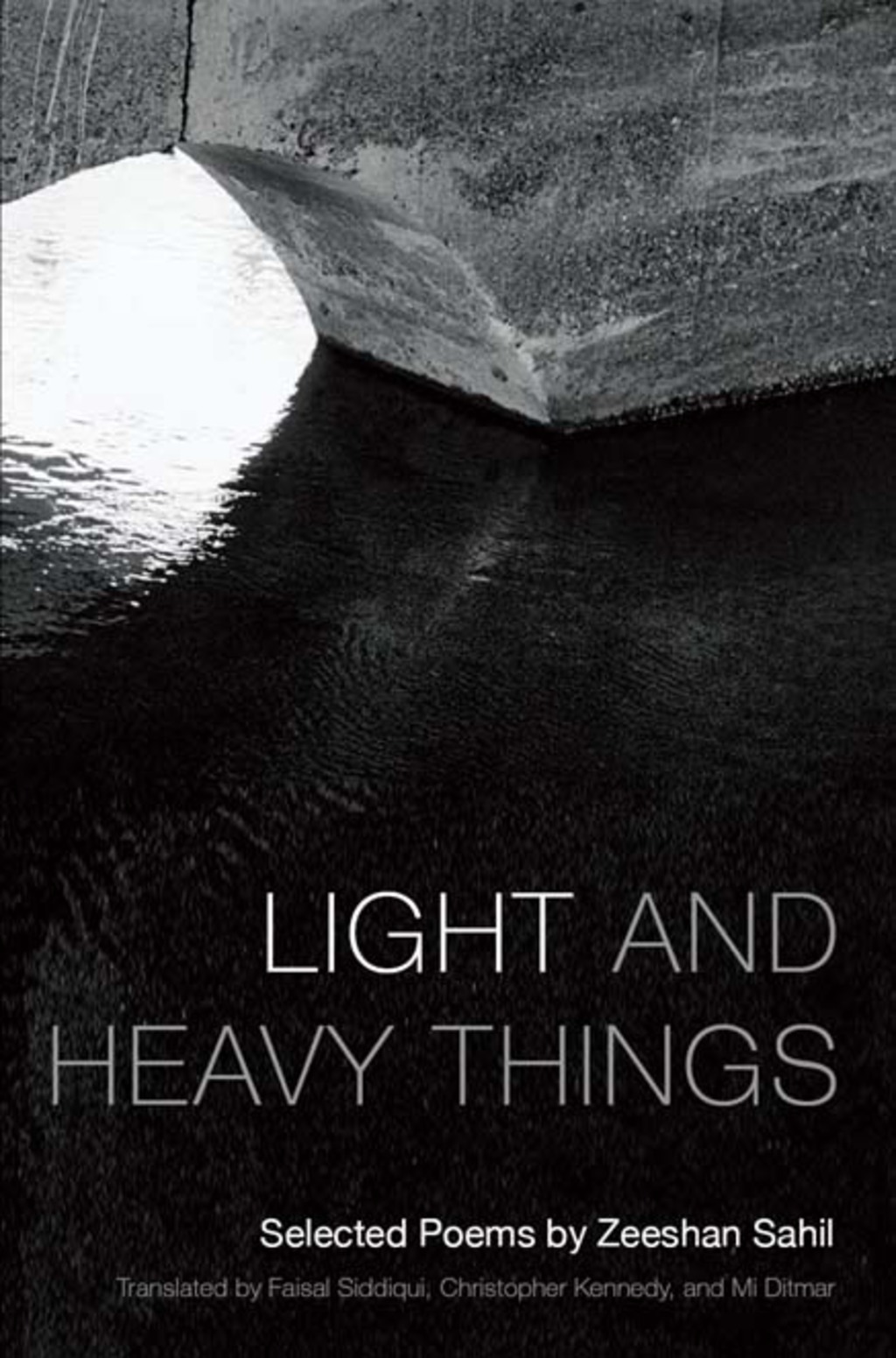 Light and Heavy Things Selected Poems of Zeeshan Sahil