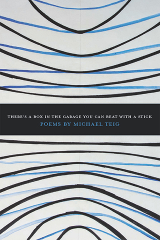 Cover image: There's a Box in the Garage You Can Beat With a Stick 9781938160202
