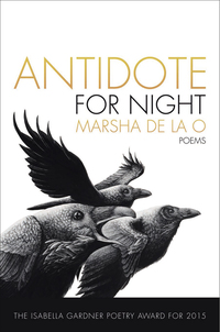 Omslagafbeelding: Antidote for Night 9781938160813