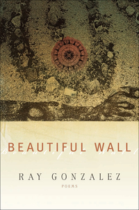 Immagine di copertina: Beautiful Wall 9781938160837