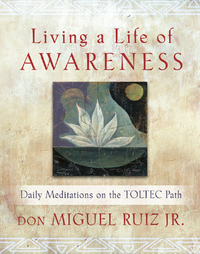 Cover image: Living a Life of Awareness 9781938289231