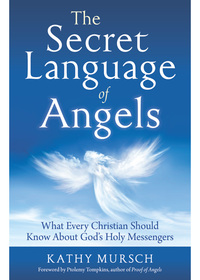 Cover image: The Secret Language of Angels 9781938289620
