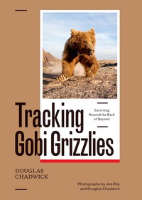 Cover image: Tracking Gobi Grizzlies 9781938340628