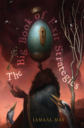 Cover image: The Big Book of Exit Strategies 9781938584244