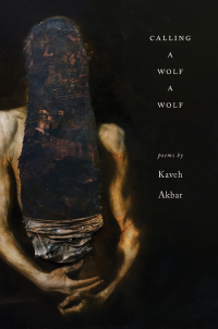 Cover image: Calling a Wolf a Wolf 9781938584671