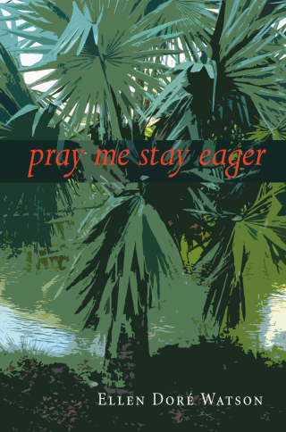 Cover image: pray me stay eager 9781938584688