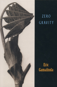 Cover image: Zero Gravity 9781882295203