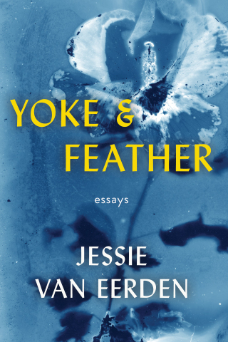 Cover image: Yoke and Feather 9780984213368