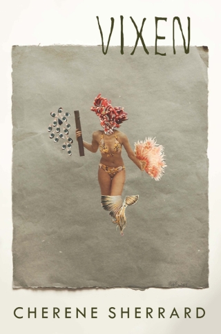 Imagen de portada: Vixen 9781938769214
