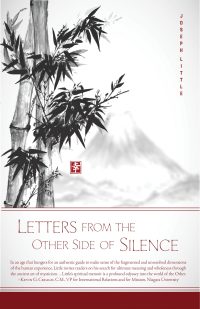 Imagen de portada: Letters from the Other Side of Silence 9781938846953