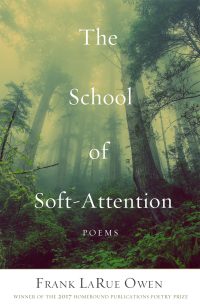 Cover image: The School of Soft Attention 9781947003965