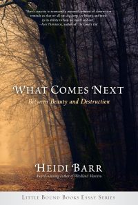 Cover image: What Comes Next 9781947003385