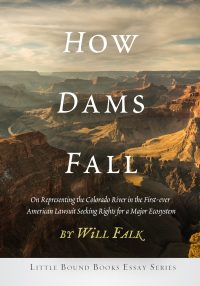 Cover image: How Dams Fall 1st edition 9781947003460