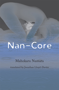 Cover image: Nan-Core 9781939130921