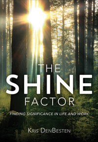 Cover image: The Shine Factor
